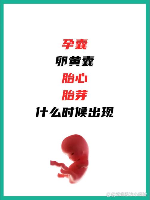 停经多久有胎心(一般怀孕多久才有胎心)