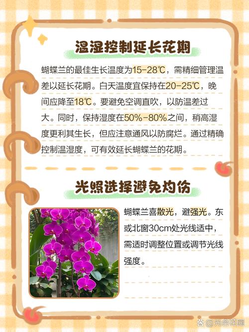 蝴蝶兰怎么养家庭养法(蝴蝶兰怎么养家庭养法和注意事项)