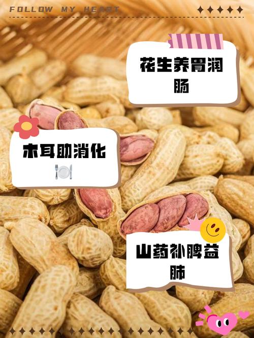 润肠的食物有哪些(润肠的食物有哪些图片大全)